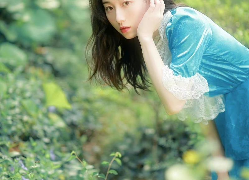  动物伤感句子简短汇总100条