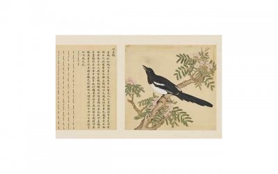 ​摘抄优美句子爱情