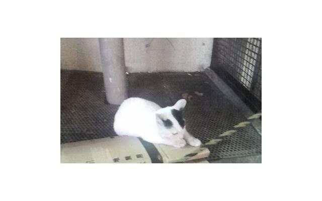  圣心教堂文案短句干净治愈汇总70条