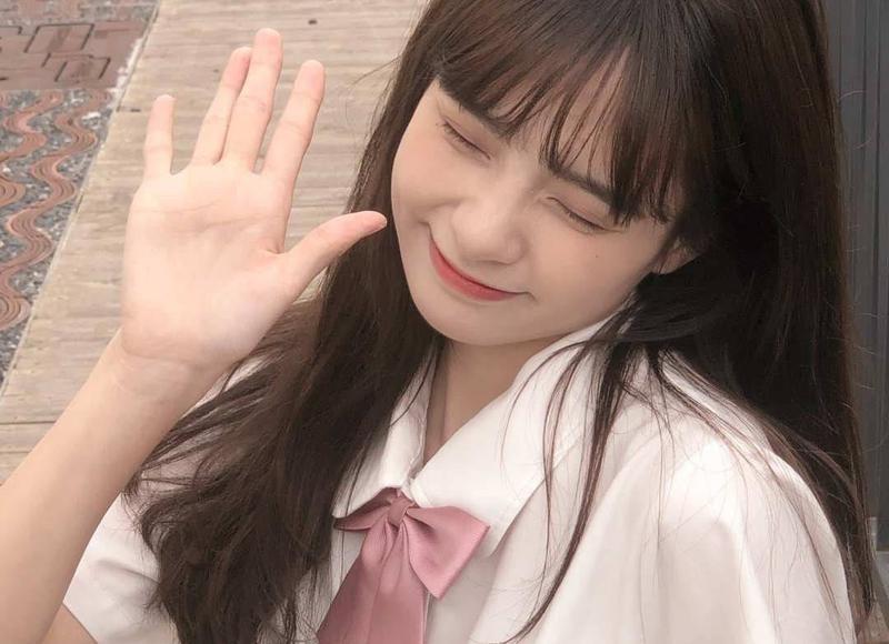 赞美水杉树的句子精选15句