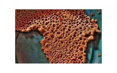 ​花艺简短走心的句子汇聚90条