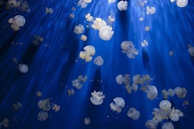 ​适合发朋友圈简单干净的句子,句句精辟!