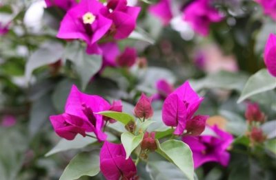 ​慢慢变陌生的说说 从熟悉到陌生心情短语