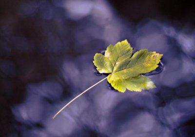 ​个性朋友圈说说