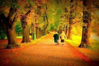 ​顶级文案短句温柔精选200条