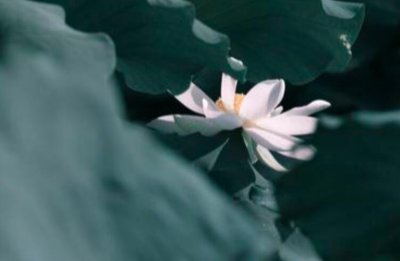 ​高情商发朋友圈祝自己生日快乐的句子【推荐33句】