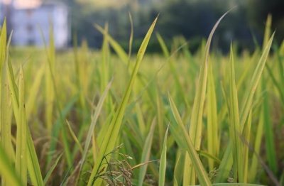 ​伤感不明显的文案2025精选32句