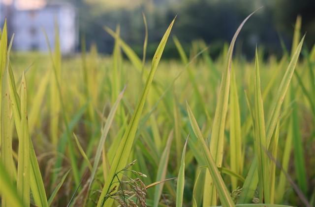 伤感不明显的文案2025精选32句 伤感不明显的文案2025精选32句