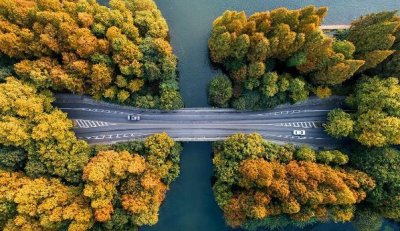 ​情人节的句子文案精选20句