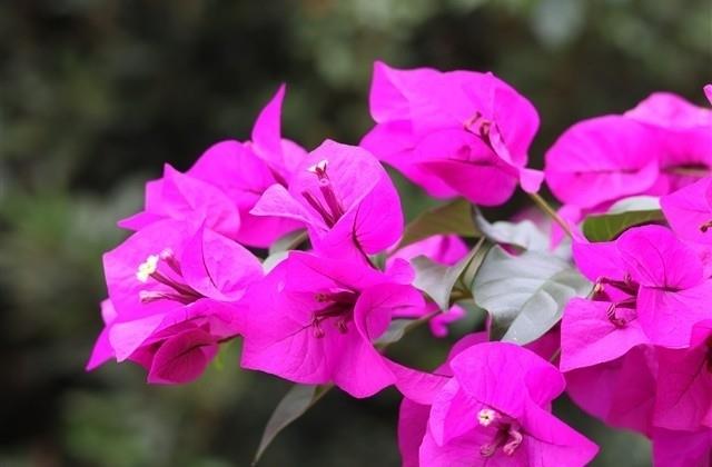 简洁深入人心的暖心文案(优选19句) 简洁深入人心的暖心文案(优选19句)