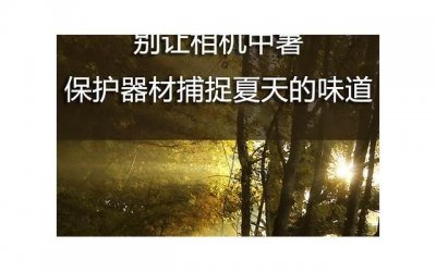 ​你最近怎么这么冷漠的土味情话(你是我的小傻瓜土味情话)
