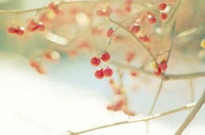 ​开心发朋友圈的好句子晚安 开心发朋友圈的精美句子