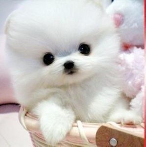 ​美好的一天正能量句子