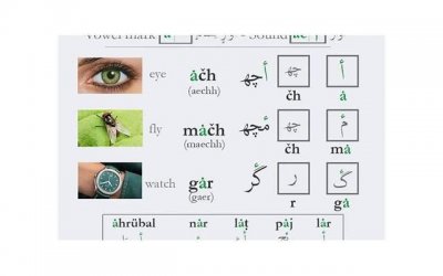 ​自家小菜园发朋友圈精选22句