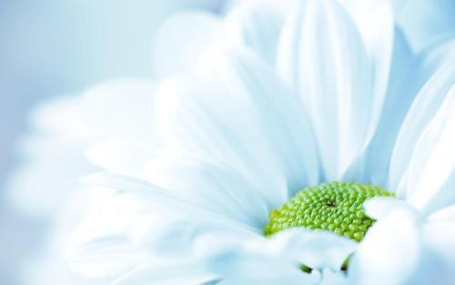 最心凉的句子写给闺蜜的