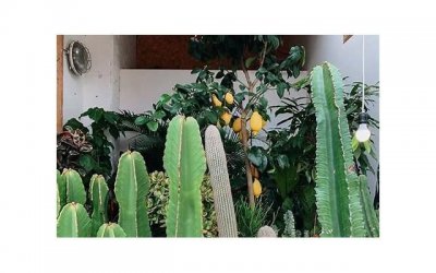 ​车砸金蛋抖音文案（砸金蛋文案朋友圈）