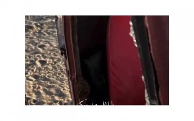 ​数字情话2025《古代情话给男朋友》