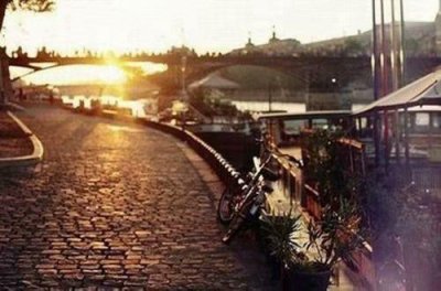 ​书上的排比句36句