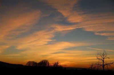 ​女人致自己的生日感言(精选65句)