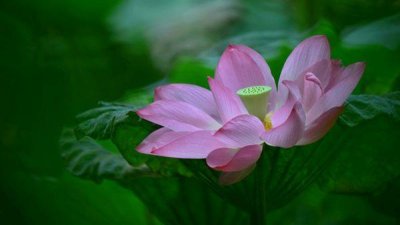 ​个性签名大全 - 经典个性签名