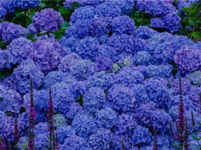 ​表达离别不舍的句子(40句)