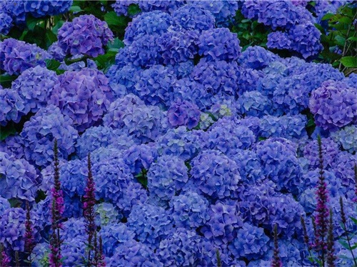 表达离别不舍的句子(40句)