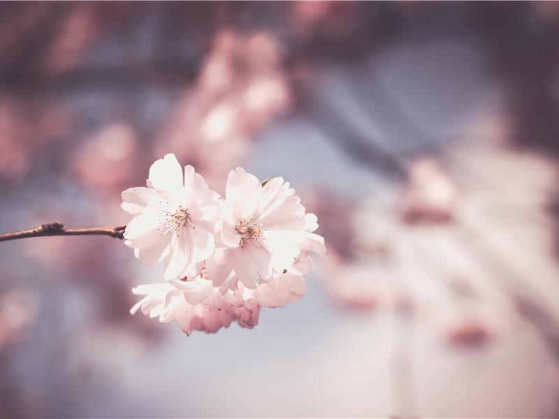 表达离别不舍的句子(40句)