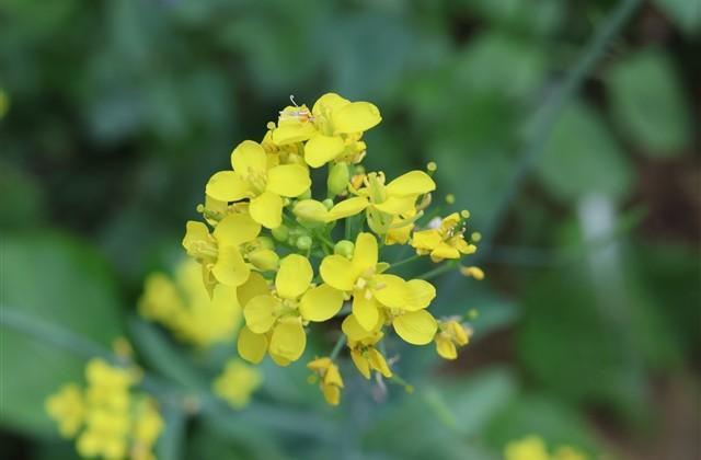 真心话比较狠的问题（精选79句）