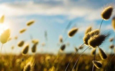 ​搞笑段子短句(精选73句)