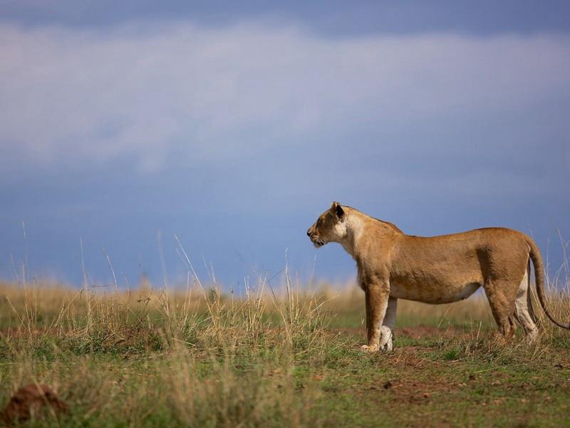 快乐很简单的经典句子(40句)