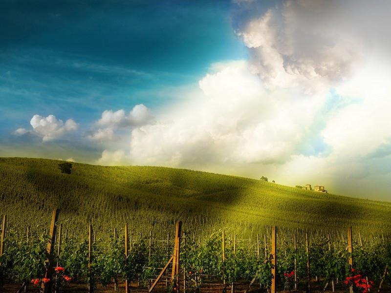 快乐很简单的经典句子(40句)