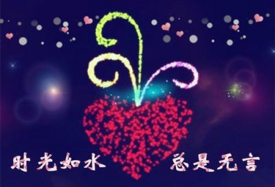 ​保护动物的宣传语