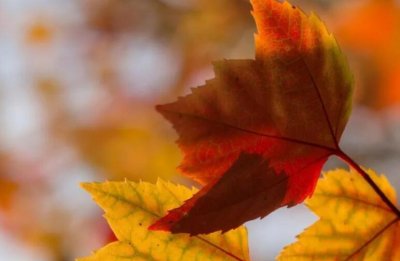 ​深入人心的经典句子,句句穿心,全是大实话!