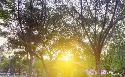 ​通用正能量早安句子合集30句