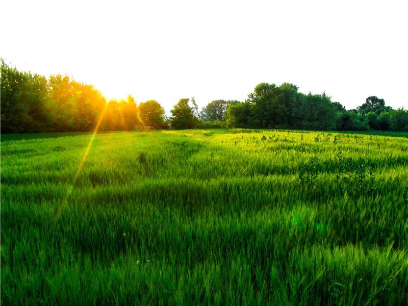 安慰人的话简短精辟的句子(26句)