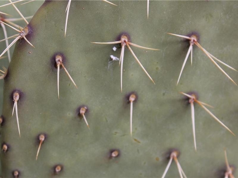 安慰人的话简短精辟的句子(26句)