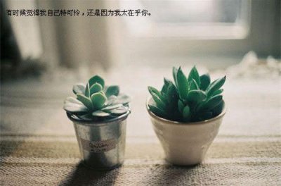 ​适合平安夜发的句子文案大全(精选48句)