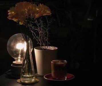 ​2025七夕情人节主题文案(精选80句)