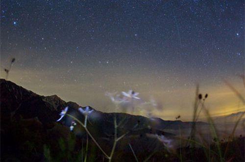 给恋人早安心语正能量一句话