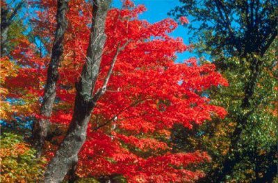 ​幽默灵魂的句子 唯美幽默句子合集35句