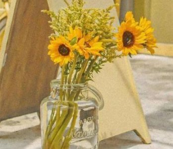 ​再见4月你好5月超火文案(76句)