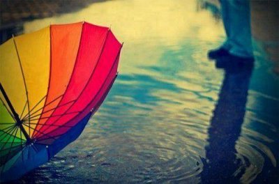 ​最有趣的谚语65句