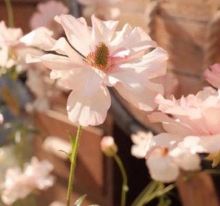 ​成熟简单内涵的个性签名(36句)