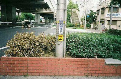 ​家庭暖心简短文案 父爱暖心简短文案(96句)