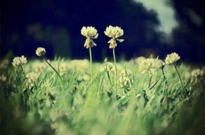 ​岁月的痕迹唯美句子