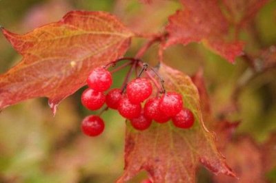 ​富有哲理的文案短语 优美哲理的文案句子