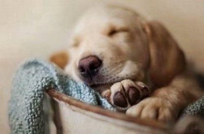 ​可以写在摘抄本上的文案(精选26句)