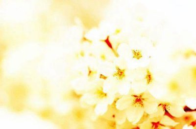 ​打动人心的生活文案(26句)