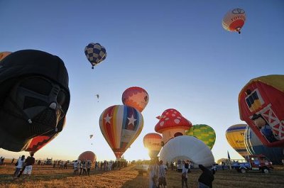 ​三胎生育政策文案集锦10句