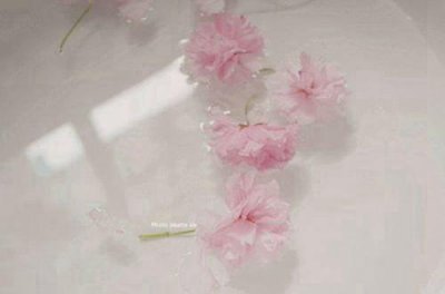 ​可爱‮沙又‬雕的‮签个‬简介文案集合11句